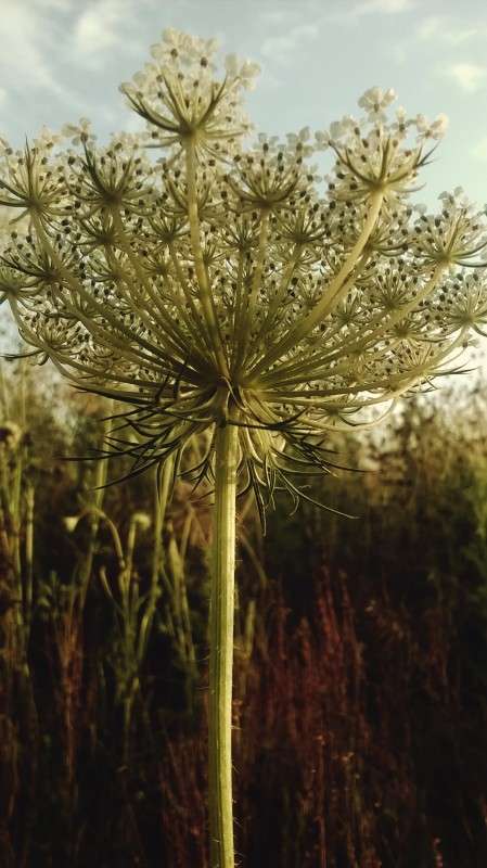 ... ����� ��������  �������� �� PhotoGeek.ru #������ ��� �������