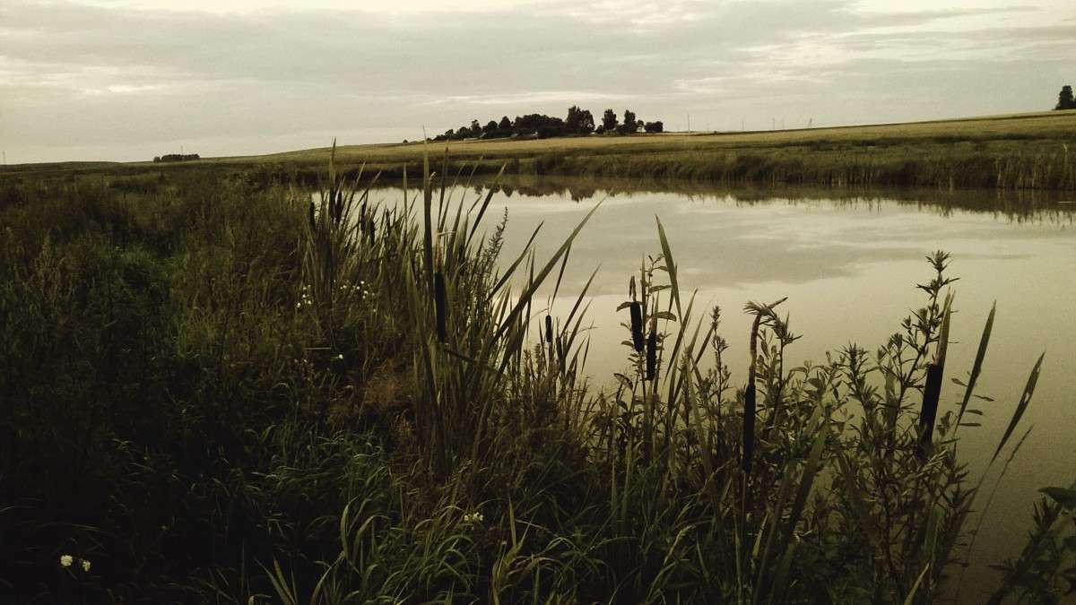 ��������� ����� ��������  �������� �� PhotoGeek.ru #������ ��� �������