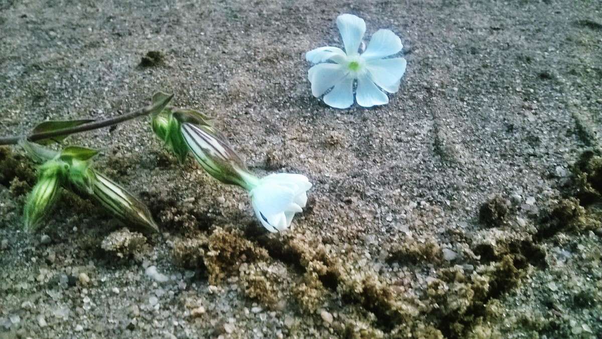 �������� ����� ��������  �������� �� PhotoGeek.ru #������ ��� �������