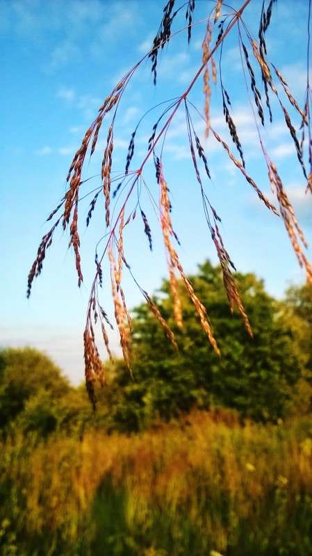 99 ����� ��������  �������� �� PhotoGeek.ru #������ ��� �������