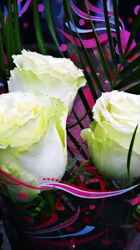 ��������� ���� ����� ��������  �������� �� PhotoGeek.ru #������ ��� �������