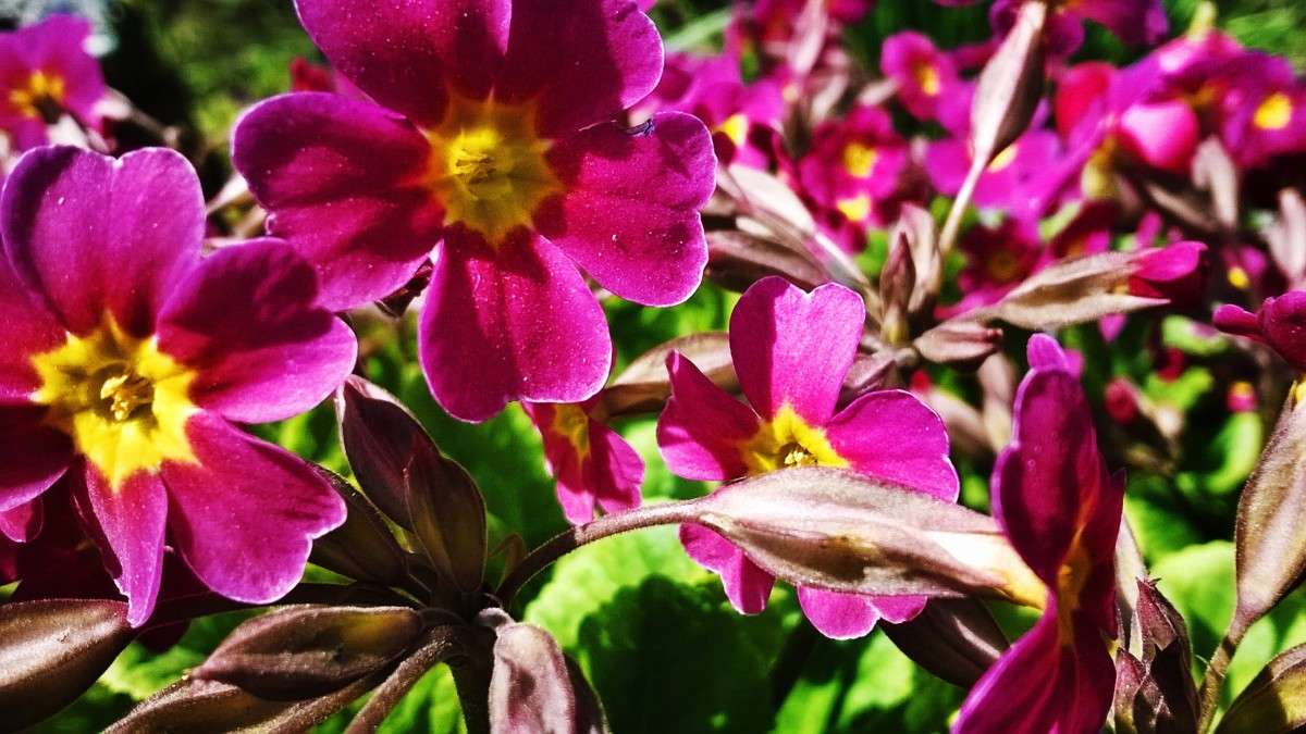 *** ����� ��������  �������� �� PhotoGeek.ru #������ ��� �������