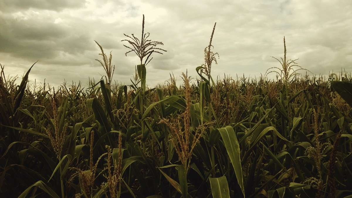 ������ �������� ����� ��������  �������� �� PhotoGeek.ru #������ ��� �������