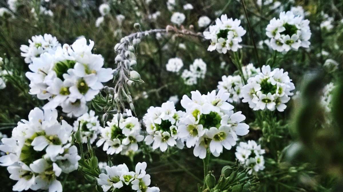 �������� ����� ��������  �������� �� PhotoGeek.ru #������ ��� �������