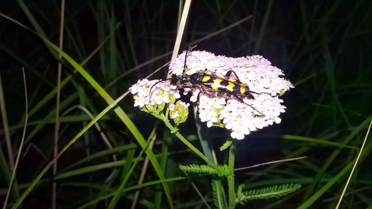 ��� ����� ��������  �������� �� PhotoGeek.ru #�������� ���