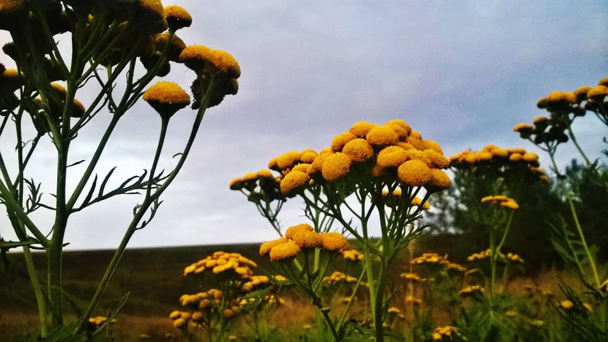 *** ����� ��������  �������� �� PhotoGeek.ru #������ ��� �������