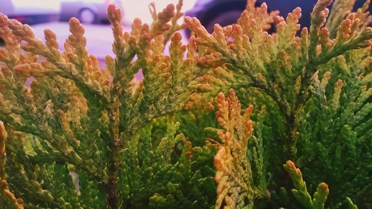 ����� ����� ��������  �������� �� PhotoGeek.ru #������ ��� �������