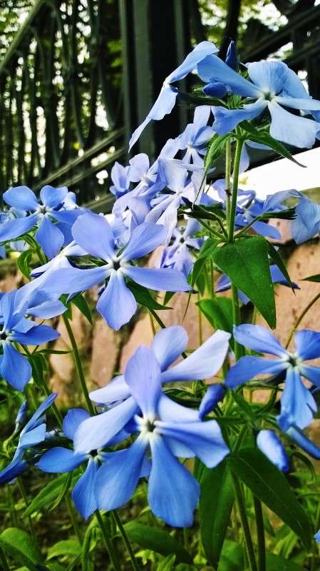 ** ����� ��������  �������� �� PhotoGeek.ru #������ ��� �������