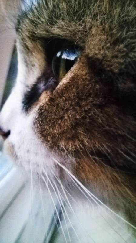 ��� ��� ����� ��������  �������� �� PhotoGeek.ru #�������� ���