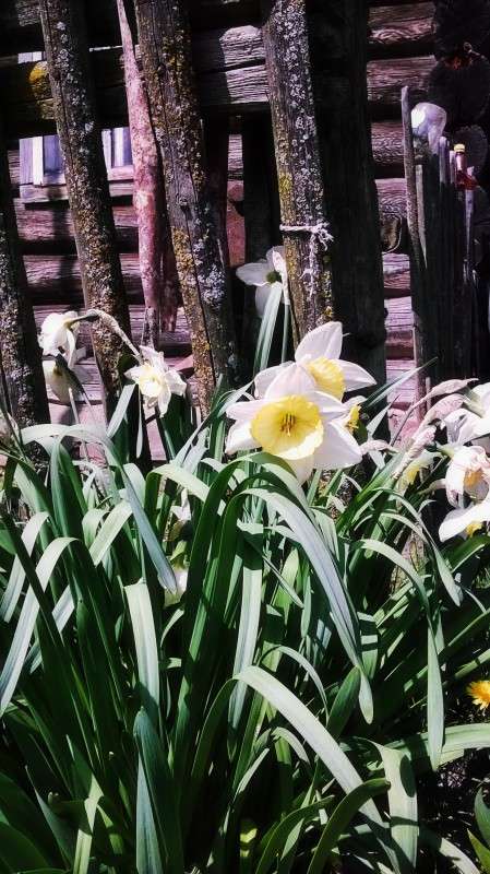 ** ����� ��������  �������� �� PhotoGeek.ru #������ ��� �������