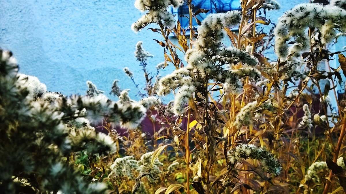 ** ����� ��������  �������� �� PhotoGeek.ru #������ ��� �������