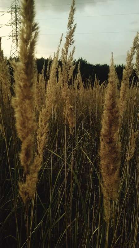 ����� ����� ��������  �������� �� PhotoGeek.ru #������ ��� �������