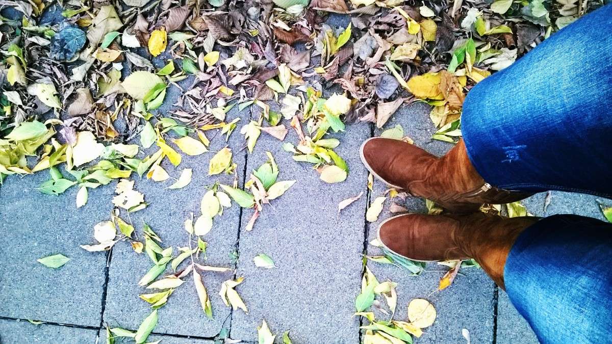 ** ����� ��������  �������� �� PhotoGeek.ru #������ ��� �������