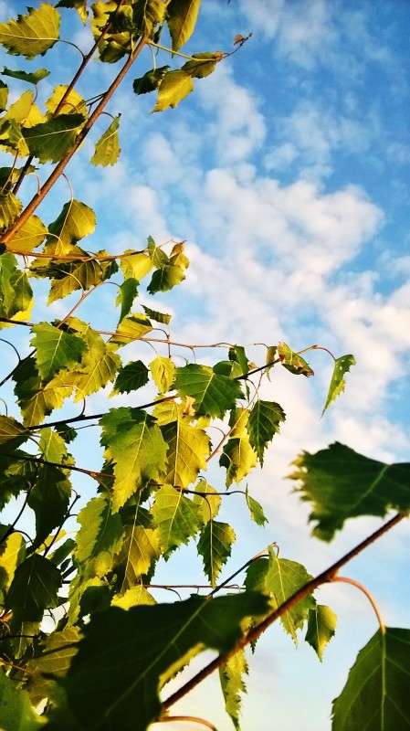 ������� ����� ��������  �������� �� PhotoGeek.ru #������ ��� �������