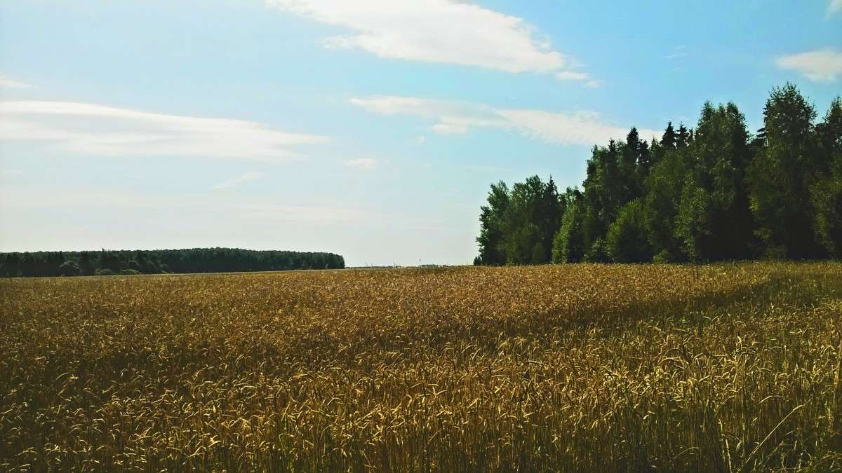 ���� ����� ��������  �������� �� PhotoGeek.ru #������ ��� �������