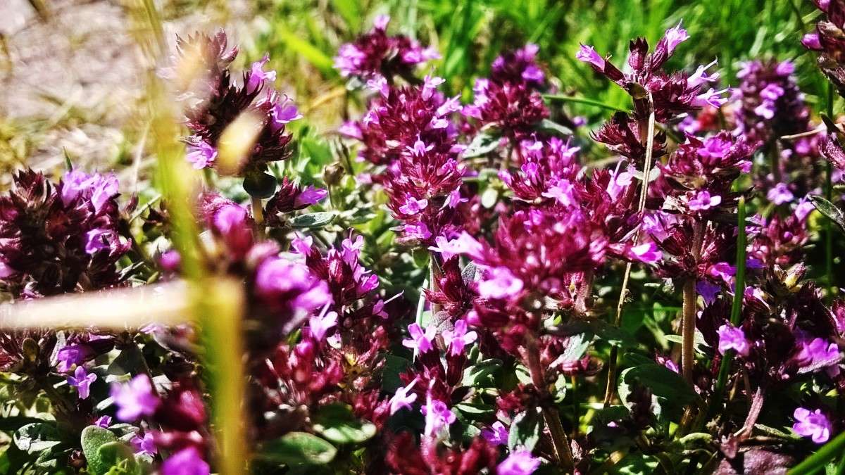 ** ����� ��������  �������� �� PhotoGeek.ru #������ ��� �������