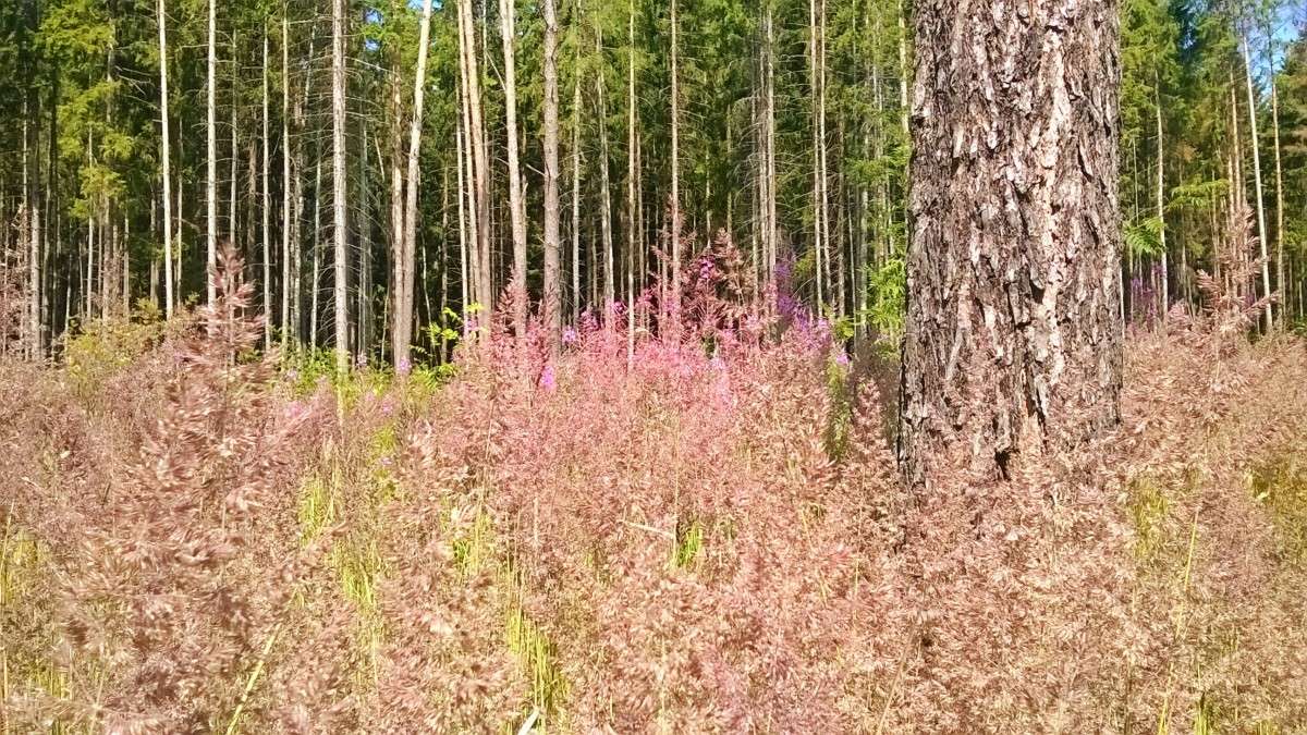 � ���� ����� ��������  �������� �� PhotoGeek.ru #������ ��� �������