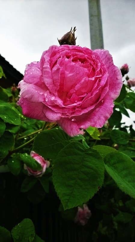 ����� �����.. ����� ��������  �������� �� PhotoGeek.ru #������ ��� �������