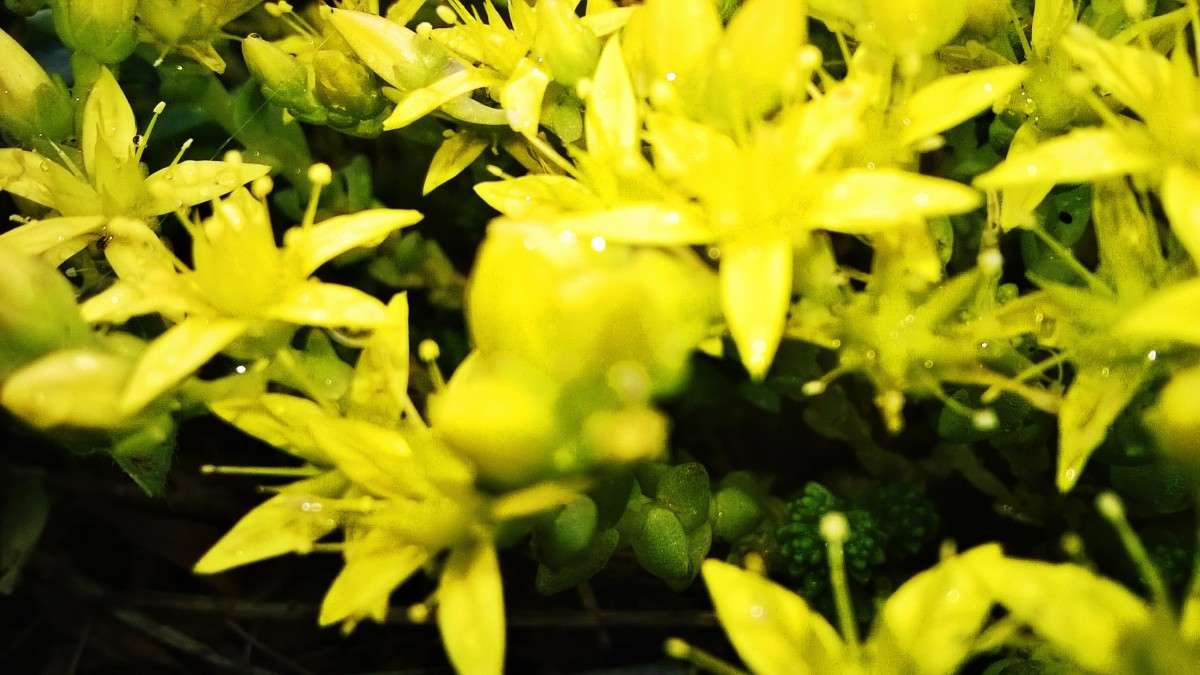 ���������� ��������� �������� ����� ��������  �������� �� PhotoGeek.ru #������ ��� �������