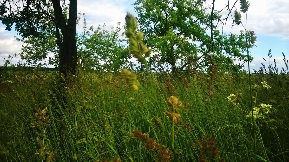 ** ����� ��������  �������� �� PhotoGeek.ru #������ ��� �������