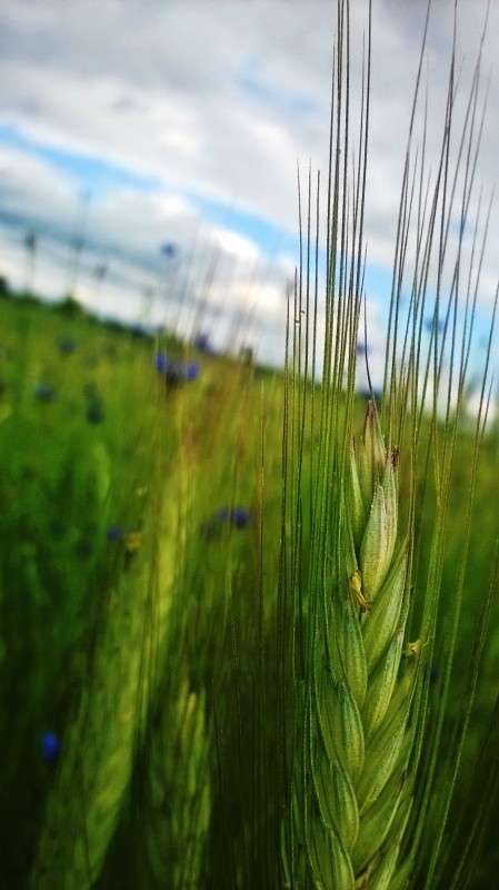 ��������� ����� ��������  �������� �� PhotoGeek.ru #������ ��� �������