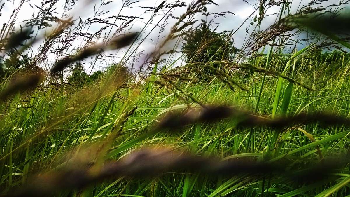 ... ����� ��������  �������� �� PhotoGeek.ru #�������� ��� #������ ��� �������