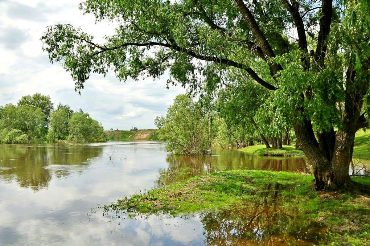 Разлив на реке автор Владимир Зыбин на PhotoGeek.ru #Омск #Отражение #Пейзаж #Природа #Река #Россия #Сибирь #фото #Фото_Зыбин