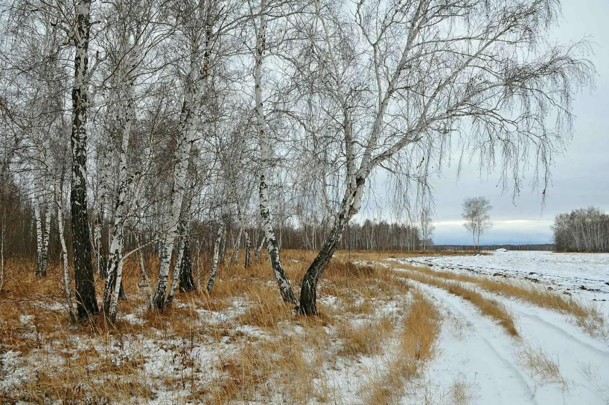 Ранняя зима в Сибири