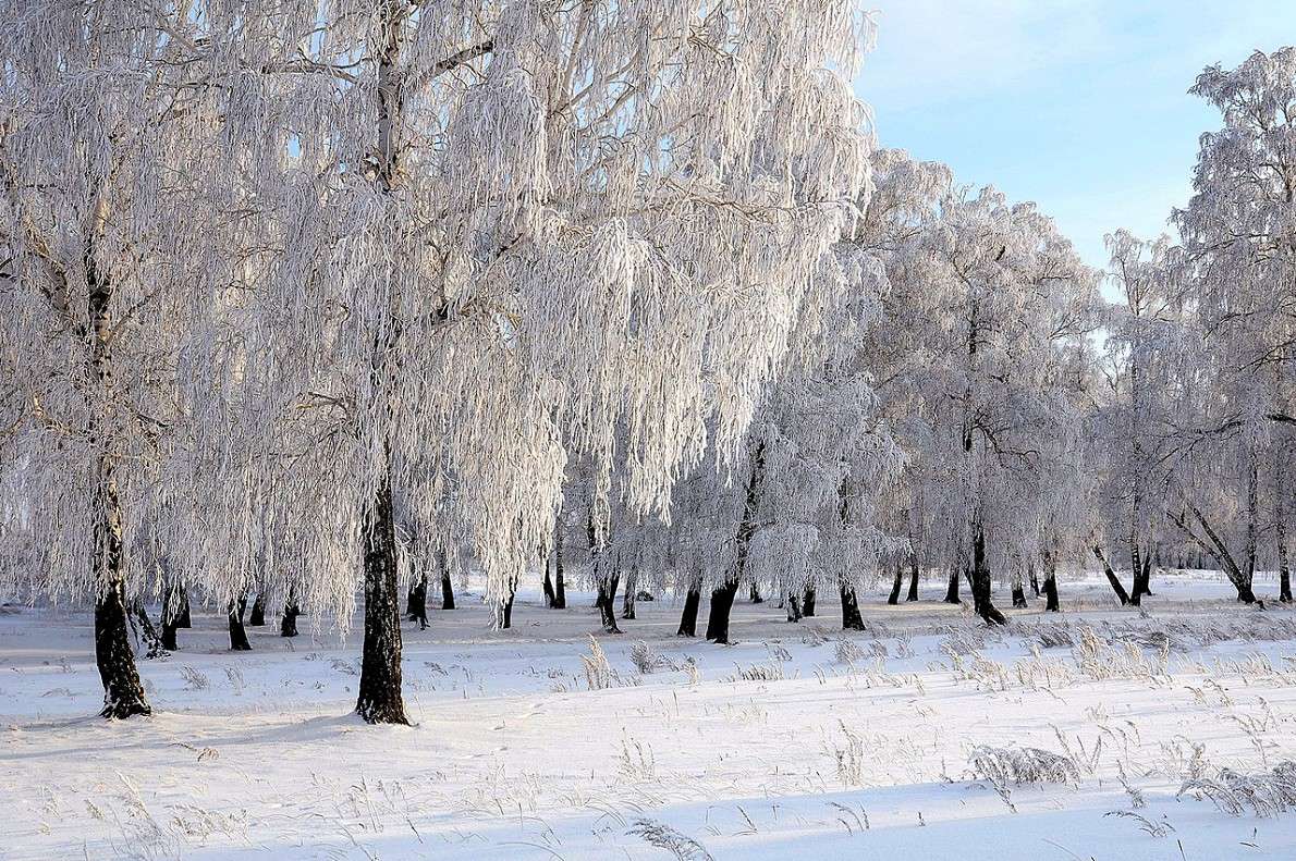 Сибирь Омская область природа зима