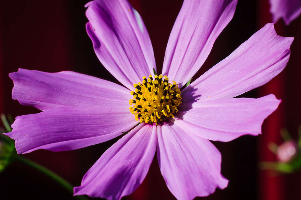 ... ����� ���� ���������� �� PhotoGeek.ru #������ ��� �������