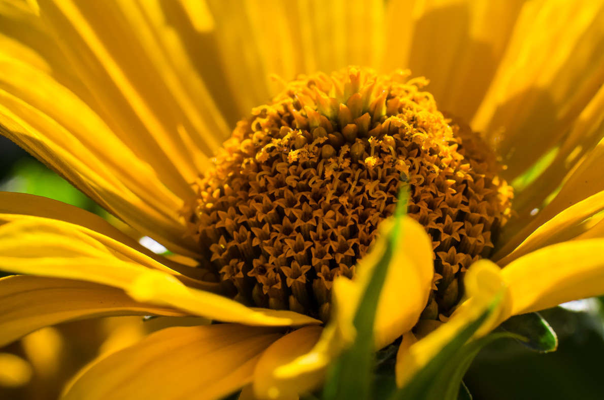 ... ����� ���� ���������� �� PhotoGeek.ru #������ ��� �������