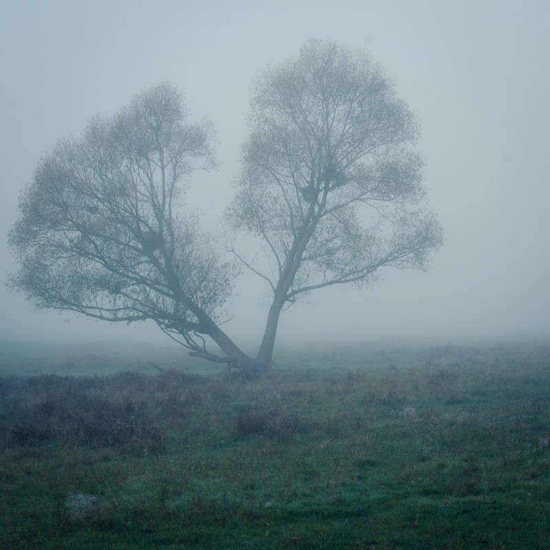 ... ����� ���� ���������� �� PhotoGeek.ru #������ ��� �������