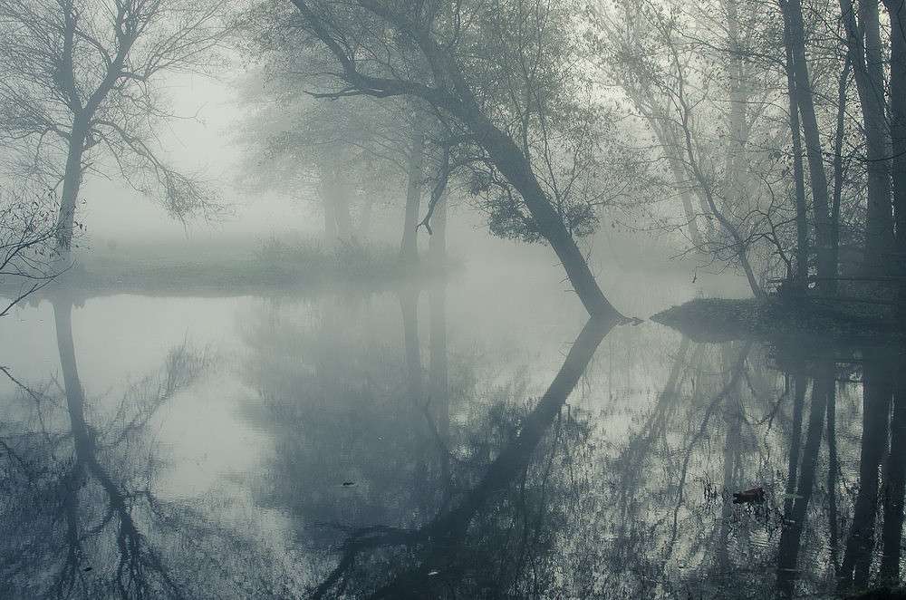 ... ����� ���� ���������� �� PhotoGeek.ru #������ ��� �������