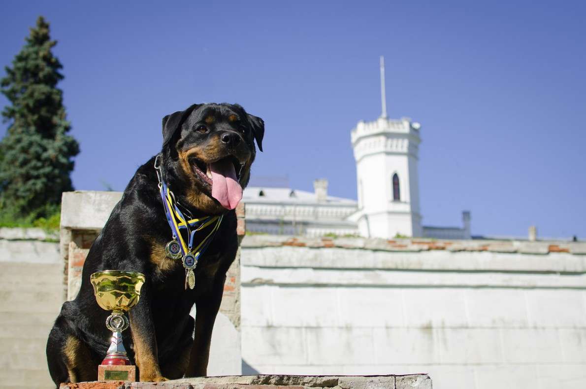 ... ����� ���� ���������� �� PhotoGeek.ru #�������� ���