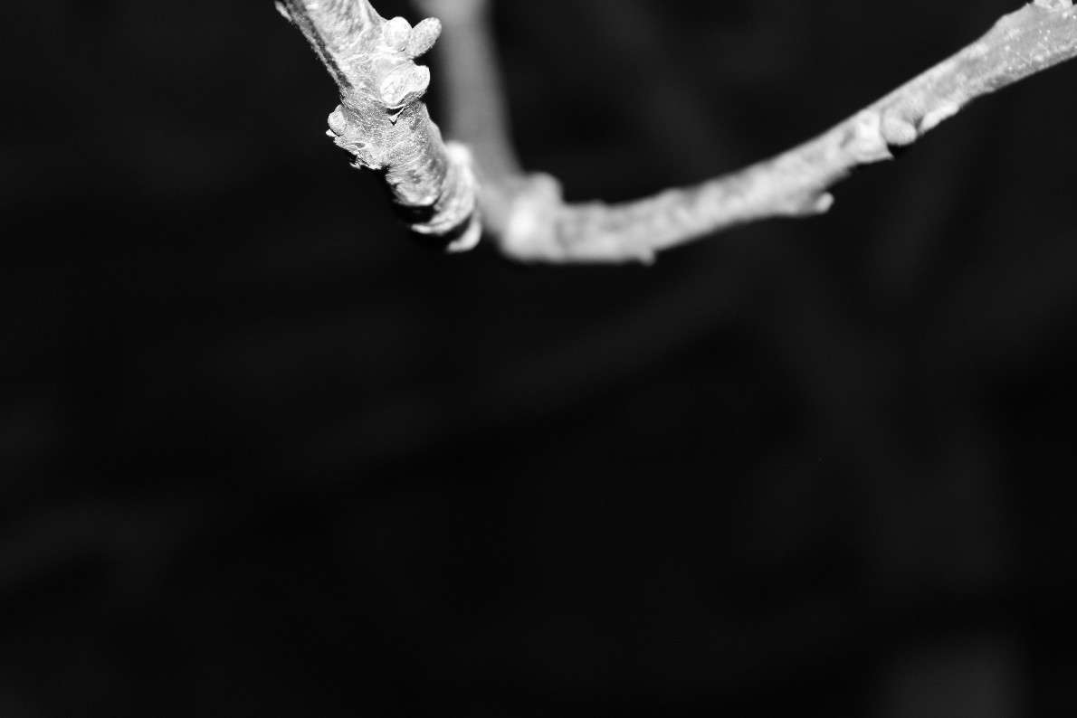 ... ����� �� ������ �� PhotoGeek.ru #������ ��� ������� #���-����������� #����� ��������