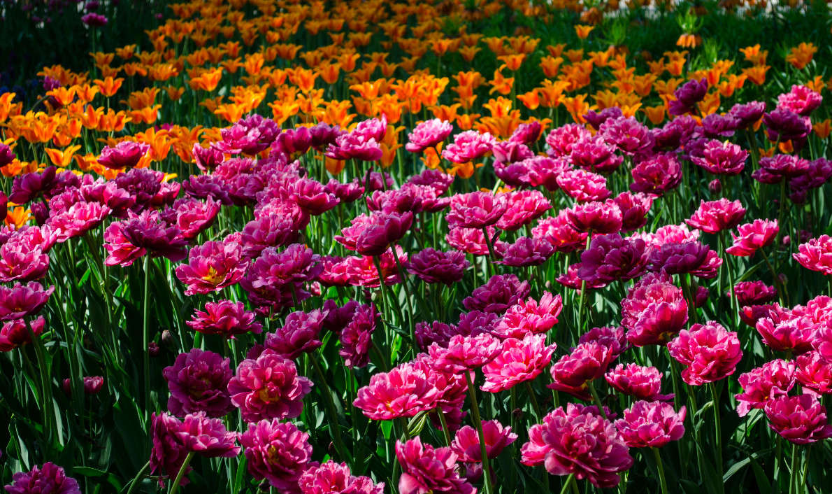 ����� ����� ���������� ��������� �� PhotoGeek.ru #������ ��� �������