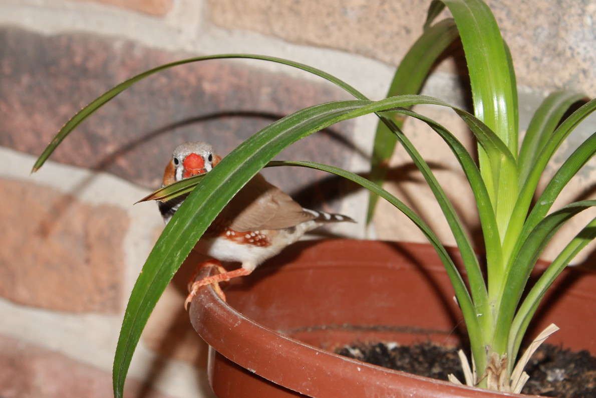 ... ����� �����  �� PhotoGeek.ru #������ ��� ������� #����� ��������������