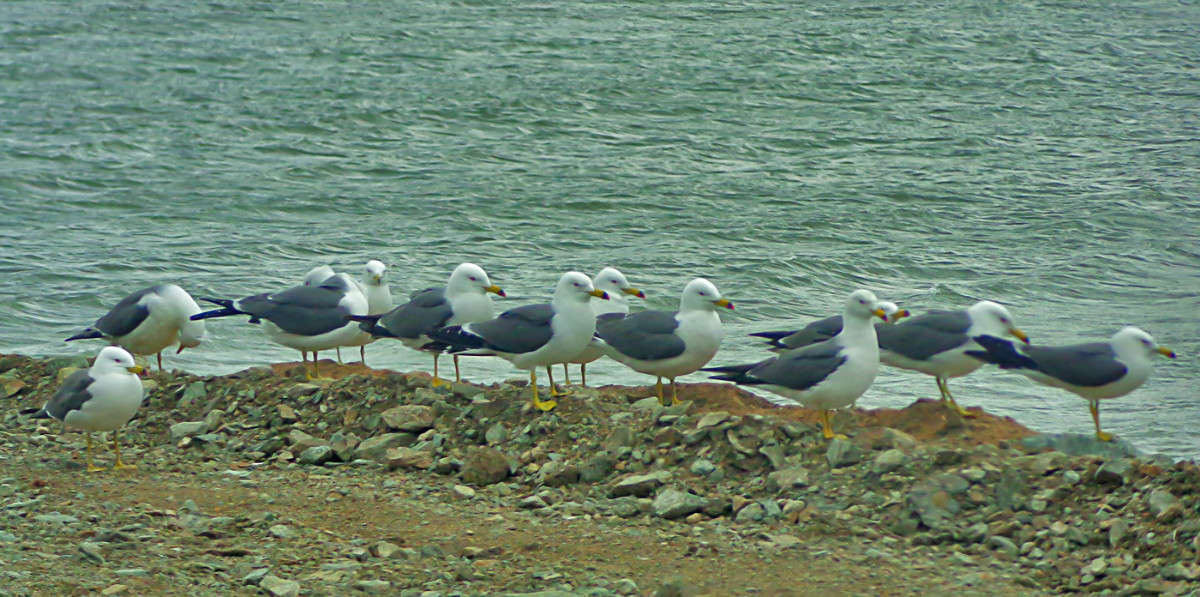 ��� ���������? ����� ������� ��������� �� PhotoGeek.ru #�������� ���