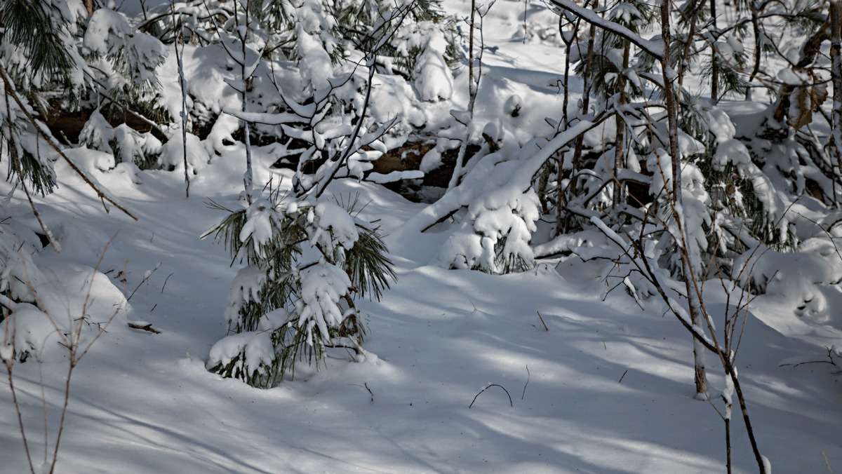 ������ ���� ����� ������� ��������� �� PhotoGeek.ru #������ ��� �������