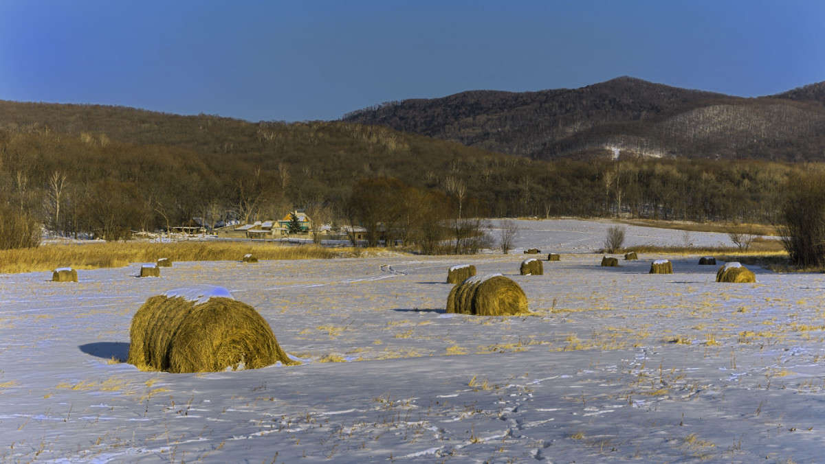 ��� �����... ����� ������� ��������� �� PhotoGeek.ru #������ ��� �������