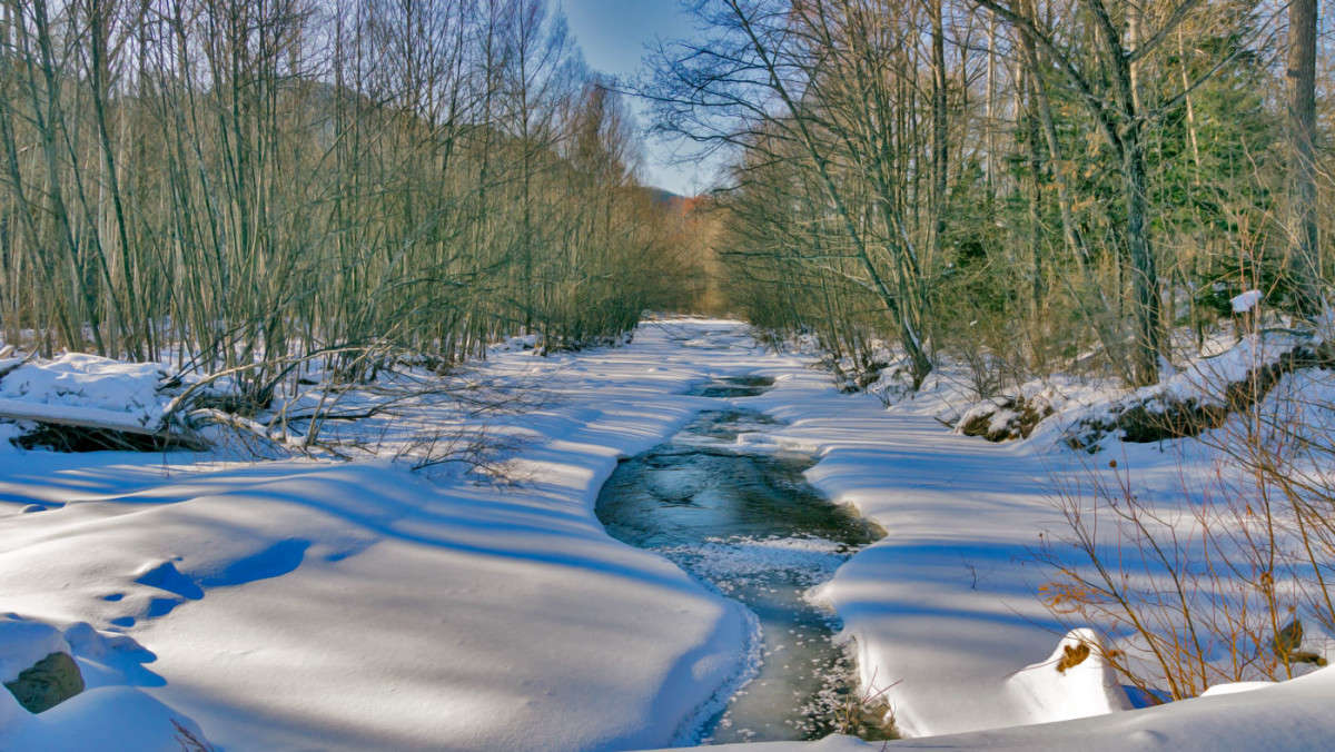 ��������� ����� ������� ��������� �� PhotoGeek.ru #������ ��� �������