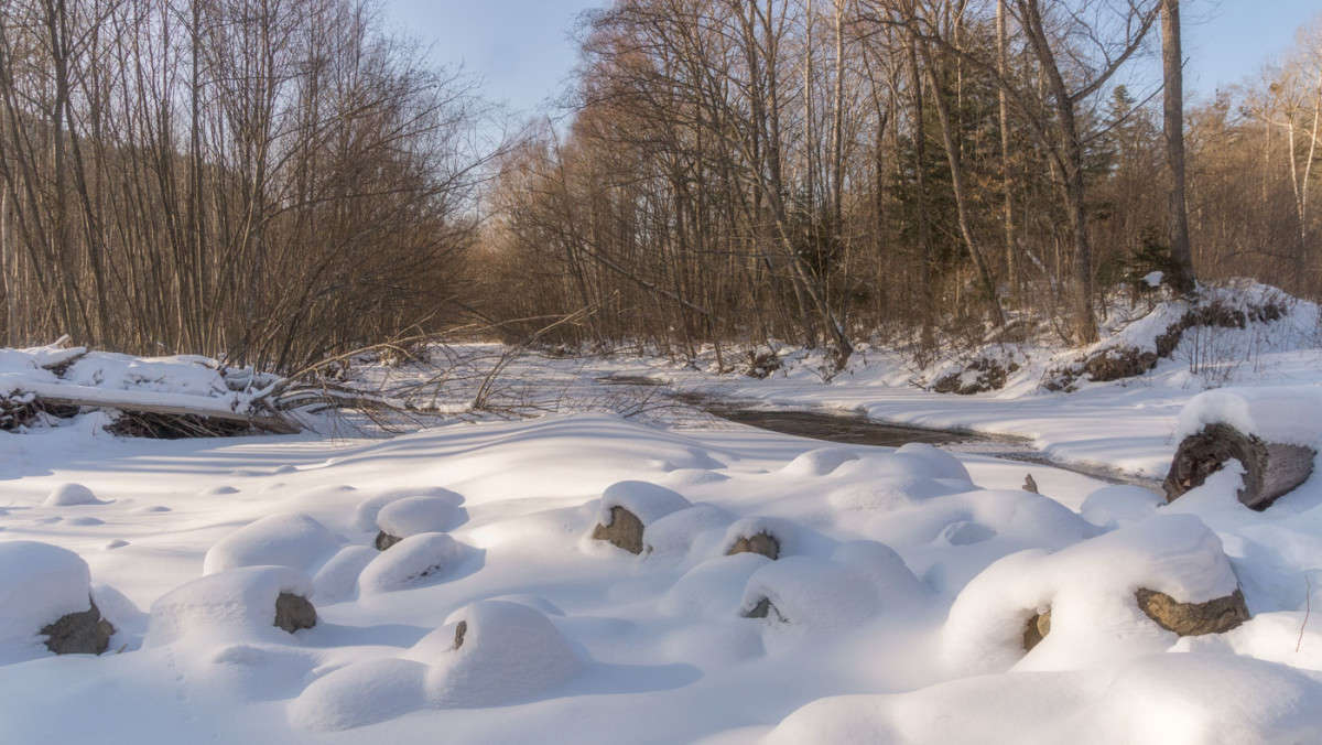 *** ����� ������� ��������� �� PhotoGeek.ru #������ ��� �������