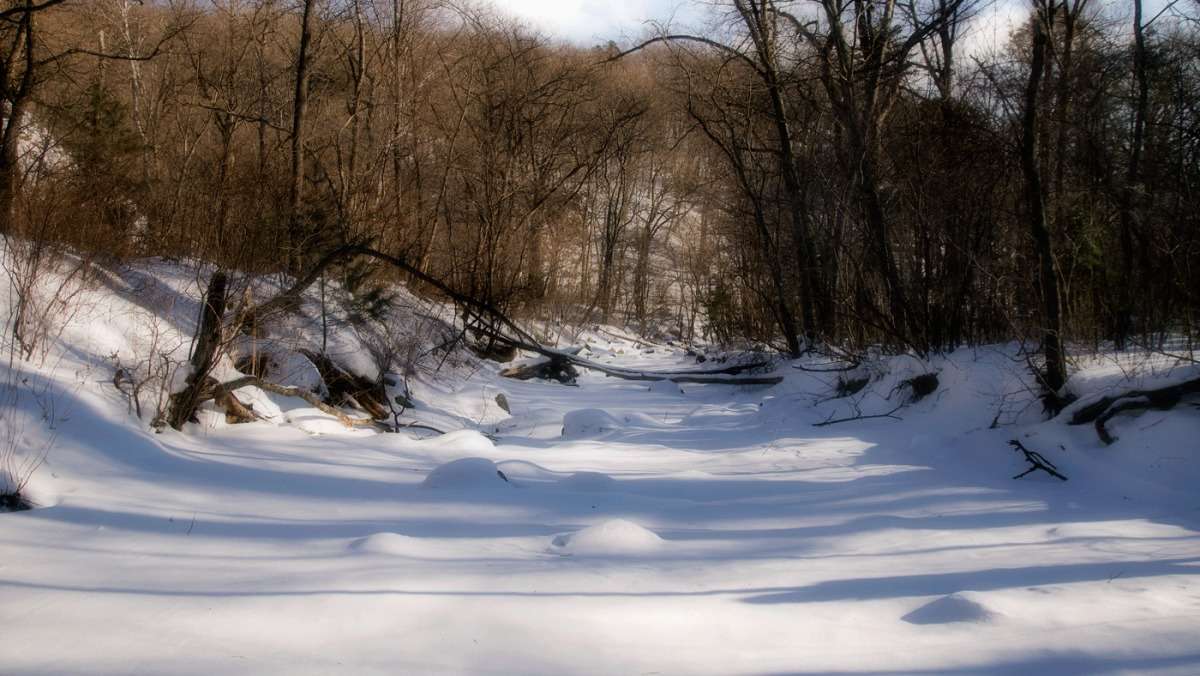 ������ ������ ����� ������� ��������� �� PhotoGeek.ru #������ ��� �������