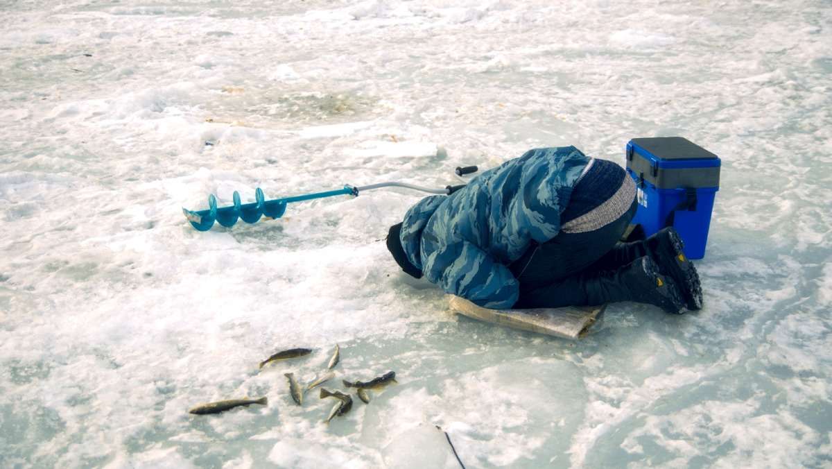 ��-��-�-�!!! �� ���-�-�??? ����� ������� ��������� �� PhotoGeek.ru #������ ��� �������