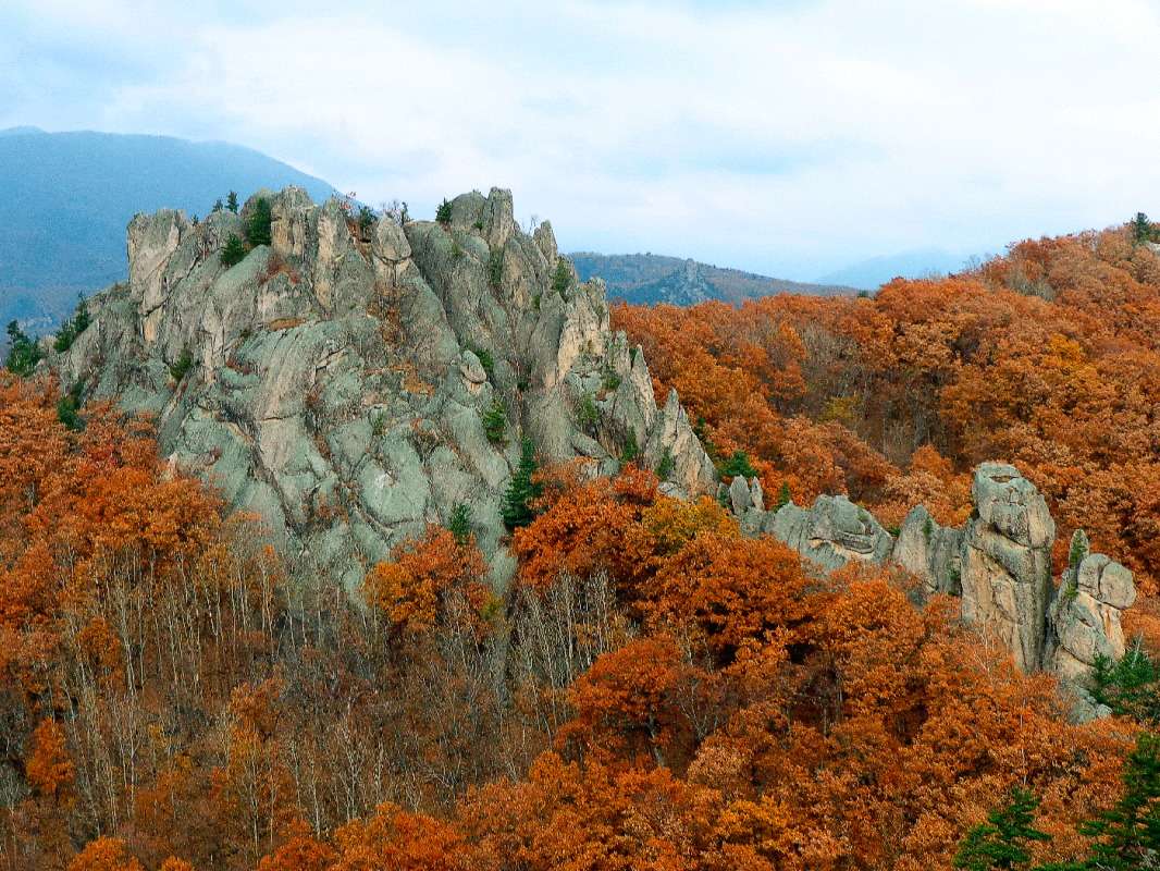 �������� ����� ����� ������� ��������� �� PhotoGeek.ru #������ ��� �������