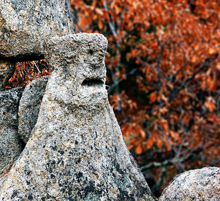 ���� ����� ������� ��������� �� PhotoGeek.ru #������ ��� �������