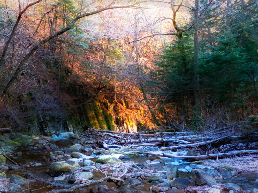 ���� � �����1 ����� ������� ��������� �� PhotoGeek.ru #������ ��� �������