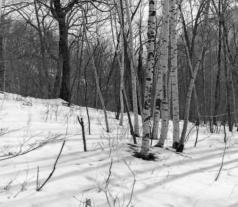 ������ �����...�������... ����� ������� ��������� �� PhotoGeek.ru #������ ��� �������