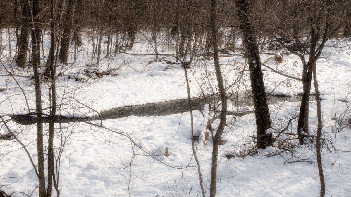 ������ ��������� ����� ������� ��������� �� PhotoGeek.ru #������ ��� �������