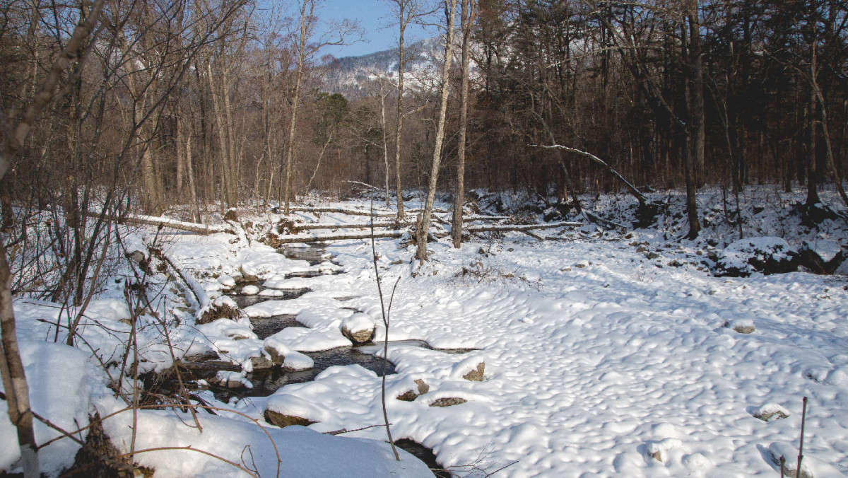 ��������� ����� ������� ��������� �� PhotoGeek.ru #������ ��� �������